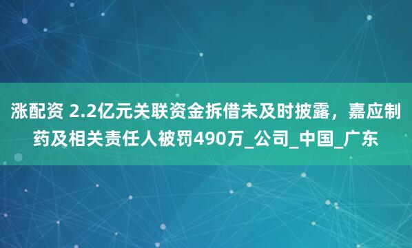 涨配资 2.2亿元关联资金拆借未及时披露，嘉应制药及相关责任人被罚490万_公司_中国_广东